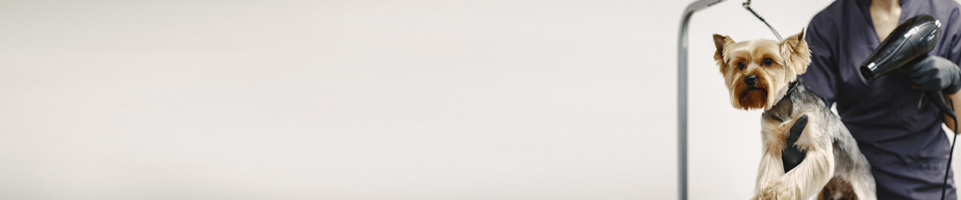 Things are calming down...