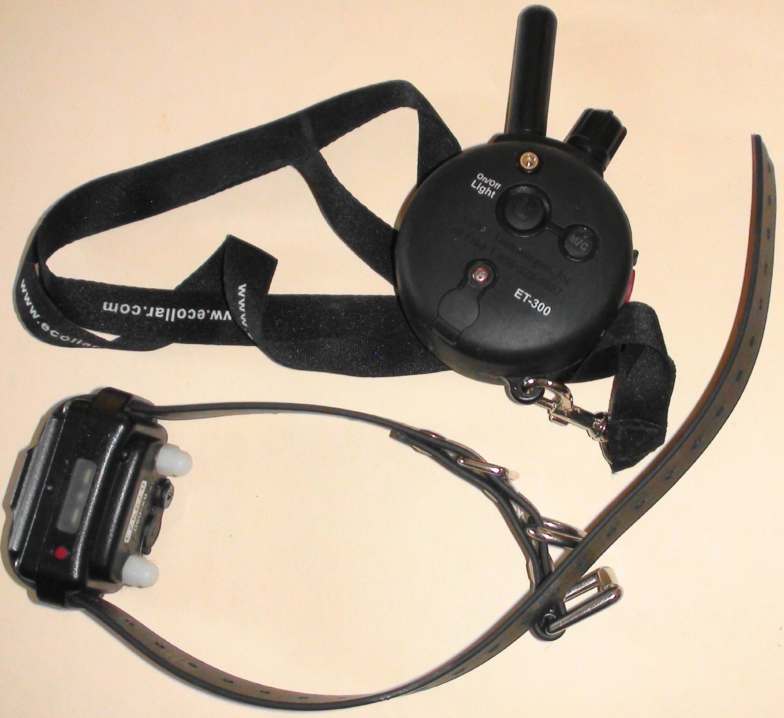 Zelda's shock collar