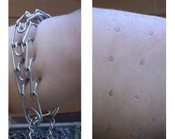 253873_217066804980974_157100_n