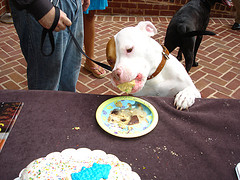 By Otterbox via Flickr, link to license below.