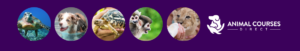 Animal Courses Direct logo