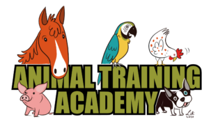Animal Training Academy Logo