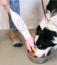 A fake hand is pushed into a dog's food bowl during a temperament test