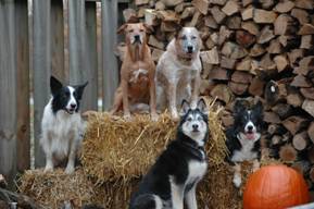 Photo: Lynn Broderick