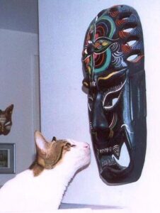 Animals do things for reasons that make sense to them, even if we do not understand their motivation 