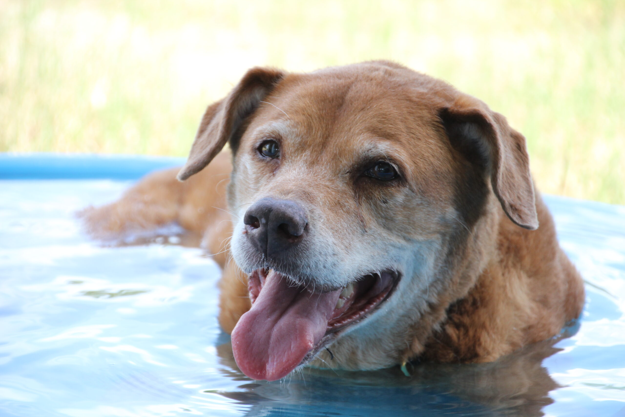 Dale takes a dip on her last day