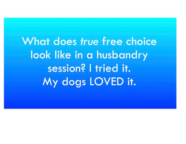 Text: What does true free choice look like in a husbandry session? I tried it. My dogs LOVED it.
