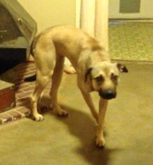 (Photo: Internet, Unknown source)