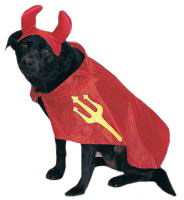 from spoiledrottendoggies.com