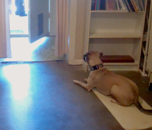 Desirable door behavior