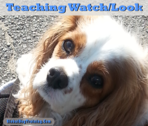 Watching you, is better than watching distractions.