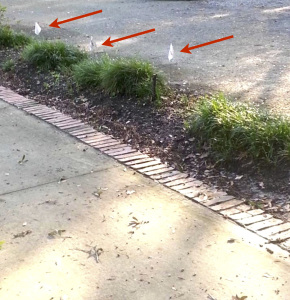 Eileen Anderson: Do not reuse this pic!