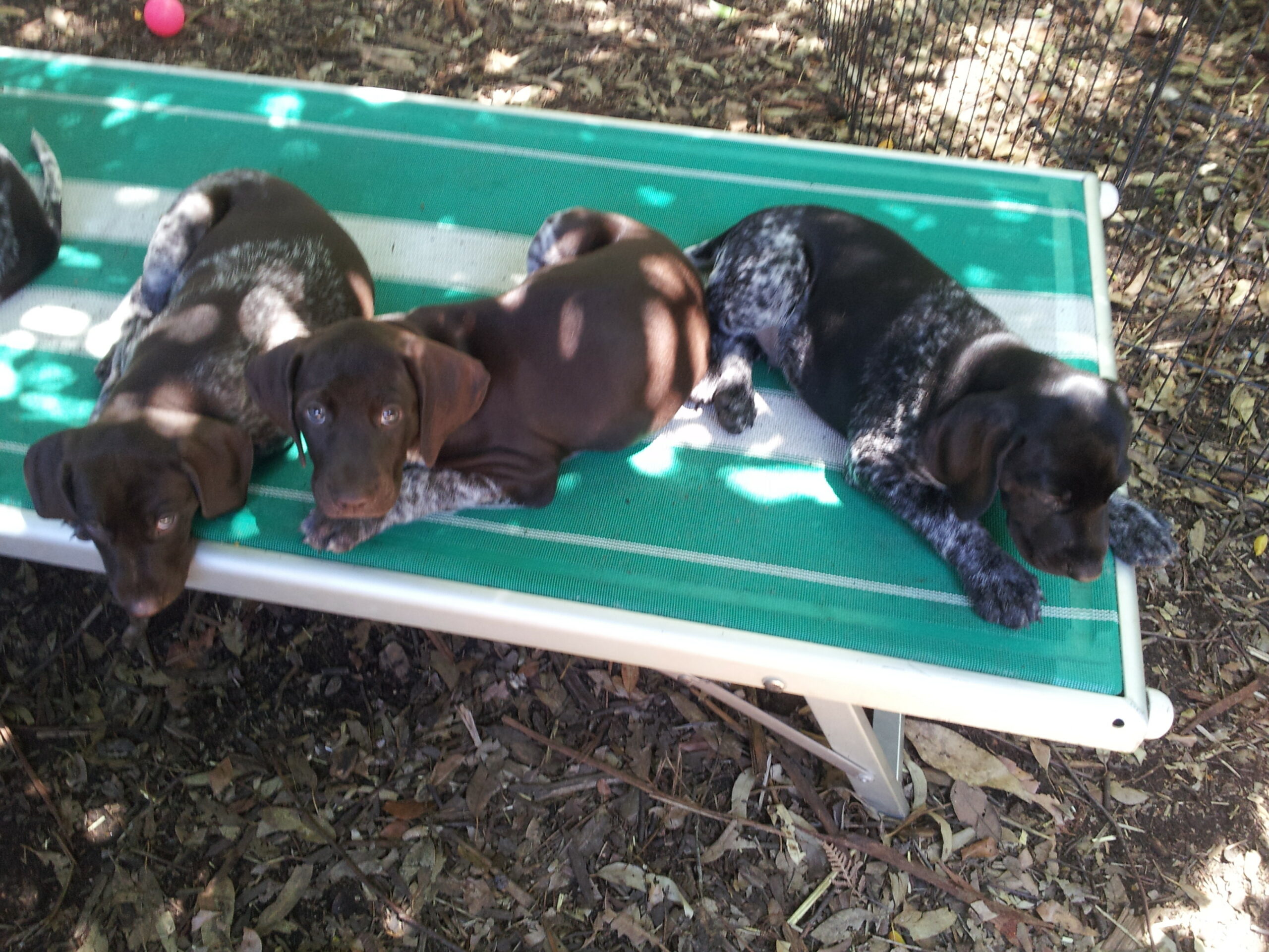 lazy sunday afternoon