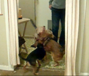 Undesirable door behavior (see the linked video)