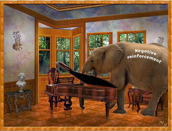 negative-reinforcement-elephant
