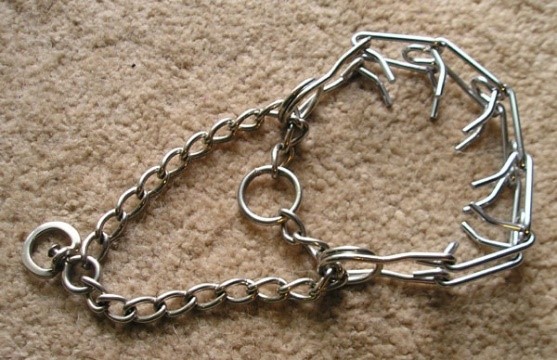 prong-collar