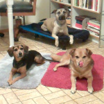 Summer licks her lips