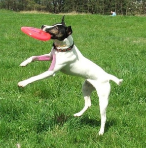 Pic by Eileen Anderson, do not reuse