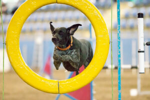 Having fun? Pic Sue Town www.pinnicle.com.au