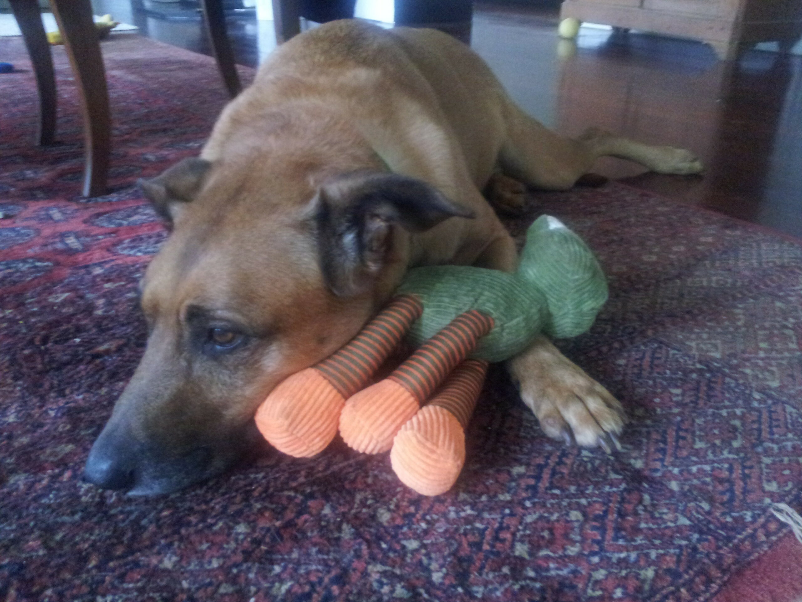 Growing old gracefully.