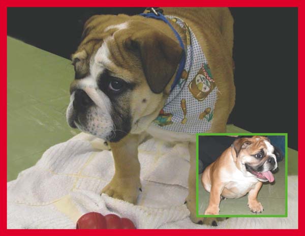 calendar04_600.jpg calendar04_600.jpg