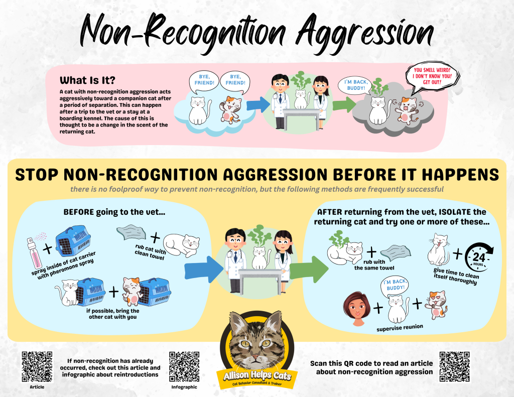 infographic about non recognition aggression
