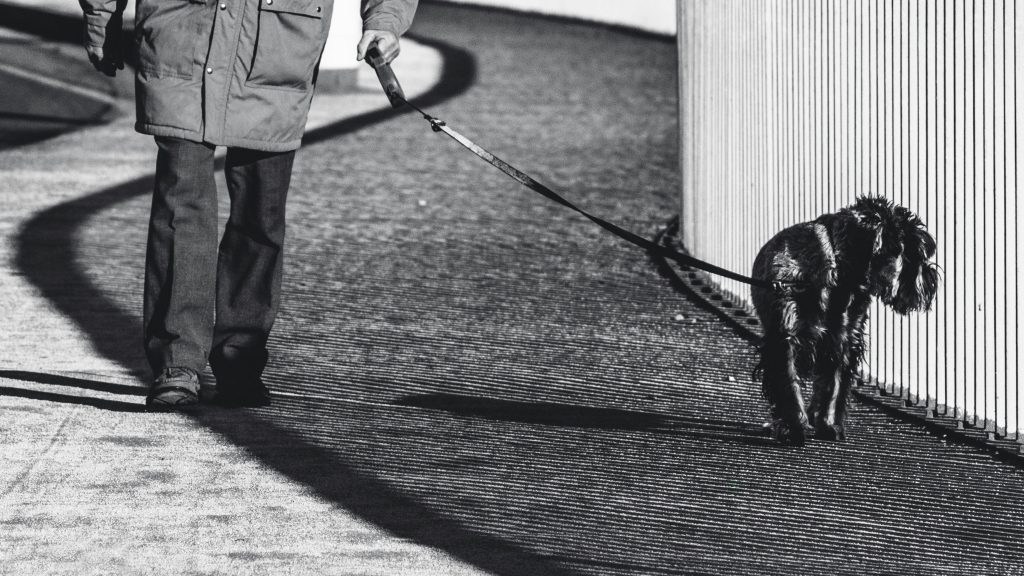 Man walking a dog on a retractable leash
